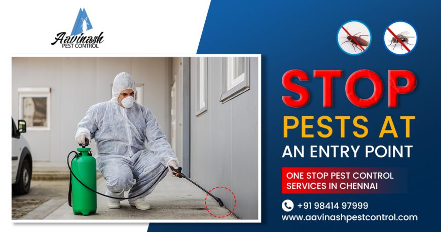 Best-Pest-Control-Services-in-Chennai-Aavinashpestcontrol.com_